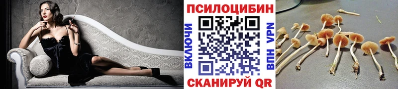 Псилоцибиновые грибы Cubensis Вилюйск