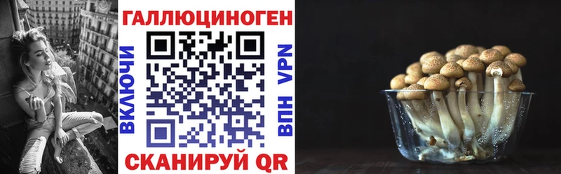 darknet состав  Вилюйск  Галлюциногенные грибы мухоморы  что такое наркотик 